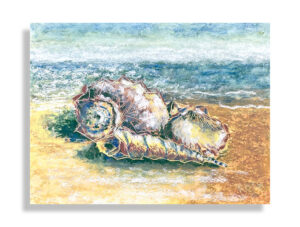 Seashells on Beach – oil pastel - 11x14