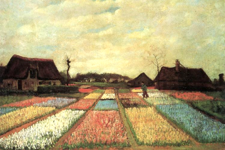 calming complementary colors bulb field Van Gogh