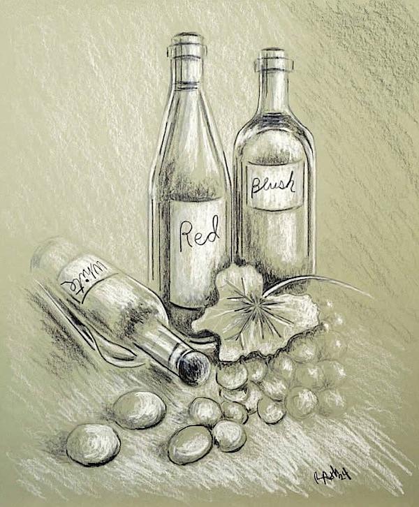 the difference between red, white, and blush wine, pencil drawing