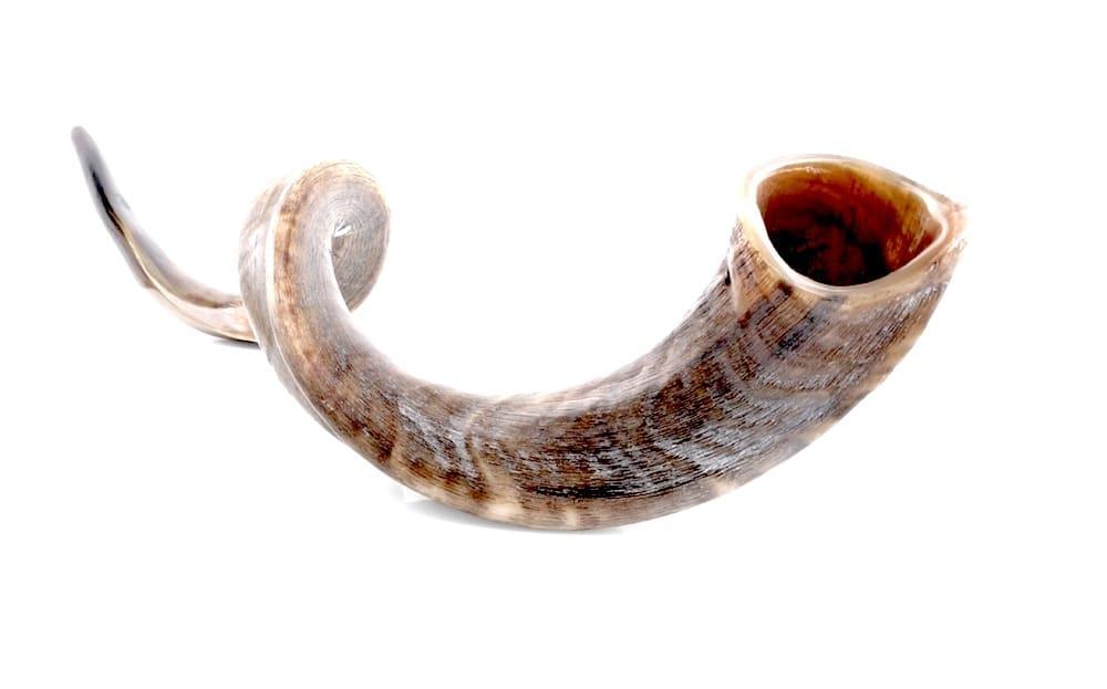 kudu shofar