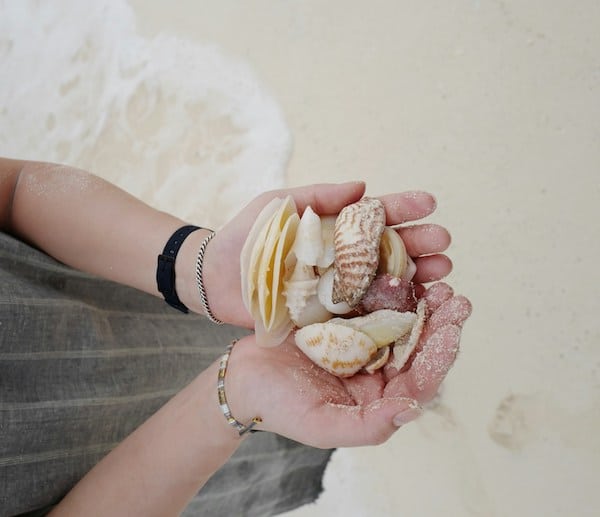 holding seashells