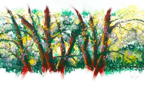 Trees Abstract, oil pastel painting, impressionism vs post-impressionism, buy on Saatchi Art Trees Abstract, oil pastel painting, impressionism vs post-impressionism, buy on Saatchi Art