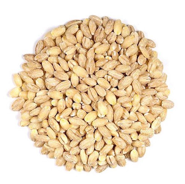 barley kernels, spiritual symbol of constriction barley kernels, the 7 fruits of Israel and spirituality, spiritual symbol of constriction