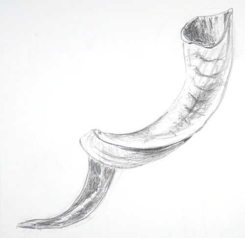 Sketch of a Yemenite shofar, From Pencil to Painting: Why I Sketch Before I Paint Sketch of a Yemenite shofar. Buy Dripping Honey on Shofar and Pomegranates watercolor painting on Saatchi Art. From Pencil to Painting: Why I Sketch Before I Paint