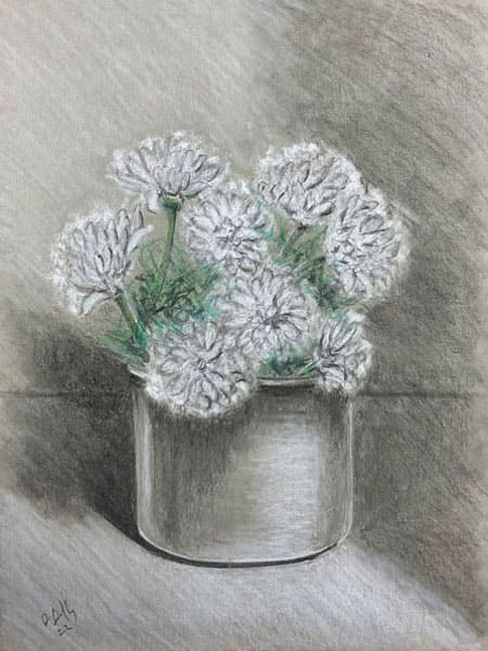 White Flowers in Pot, pencil and chalk drawing on toned paper, still life paintings and drawings, original realistic art