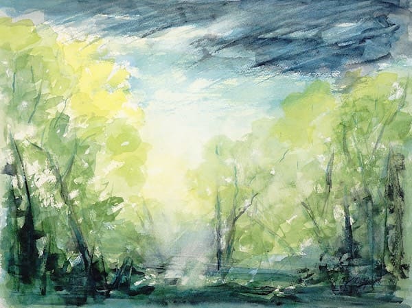 Landscape of Trees and Sky After the Storm.Buy original landscape art, seascape art, nature art
