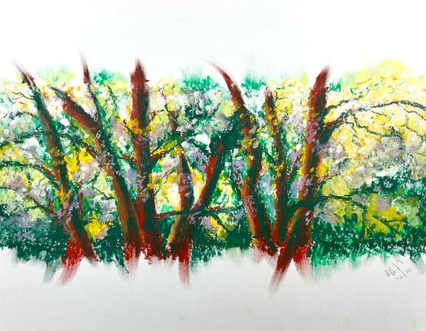 Trees Abstract, watercolor painting. Buy original landscape art, seascape art, nature art